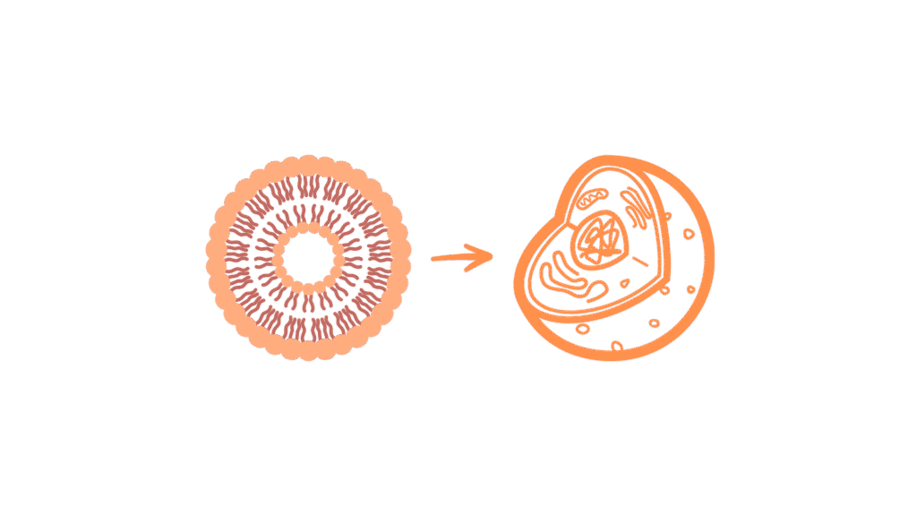 adsız tasarım (14)