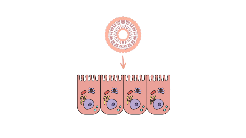 adsız tasarım (17)