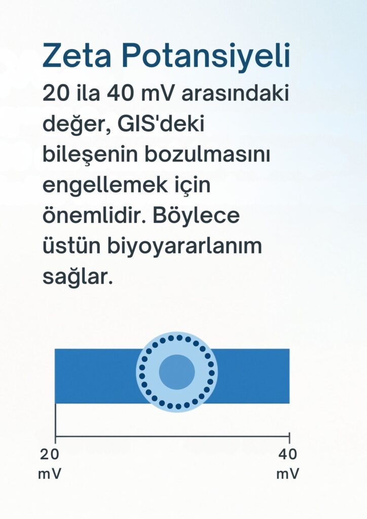 zeta potansiyeli